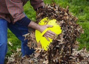 Tools to avoid back pain when raking leaves in upstate ny