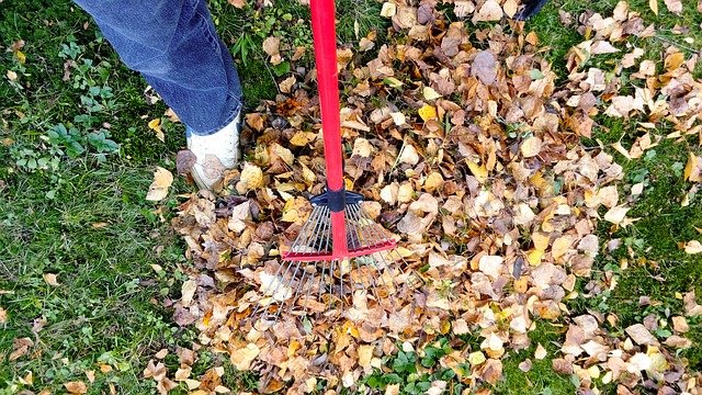 how to prevent yard work from being a pain in the back